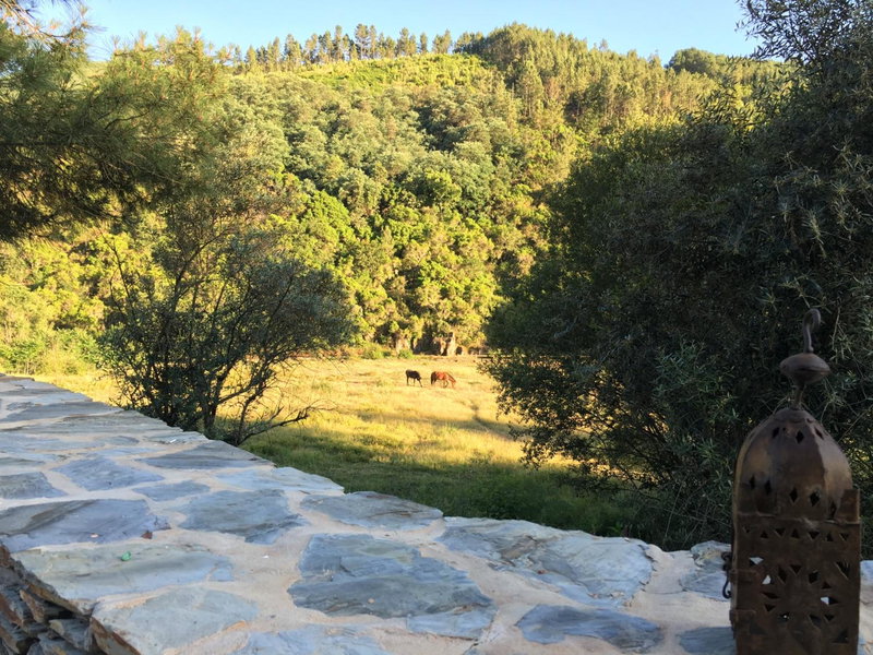 Quinta das Levadas - Country House & Nature, Alvoco das Várzeas, Portugal