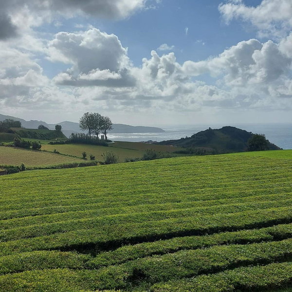 Pousada da Vila, Vila Franca do Campo, Portugal
