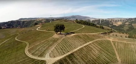 Quinta da Cumieira, Vila Real, Portugal