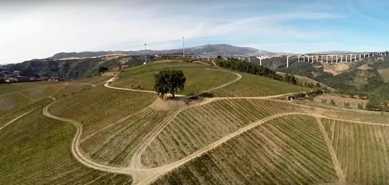 Quinta da Cumieira, Vila Real, Portugal