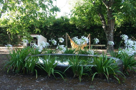 Quinta da Cumieira, Vila Real, Portugal