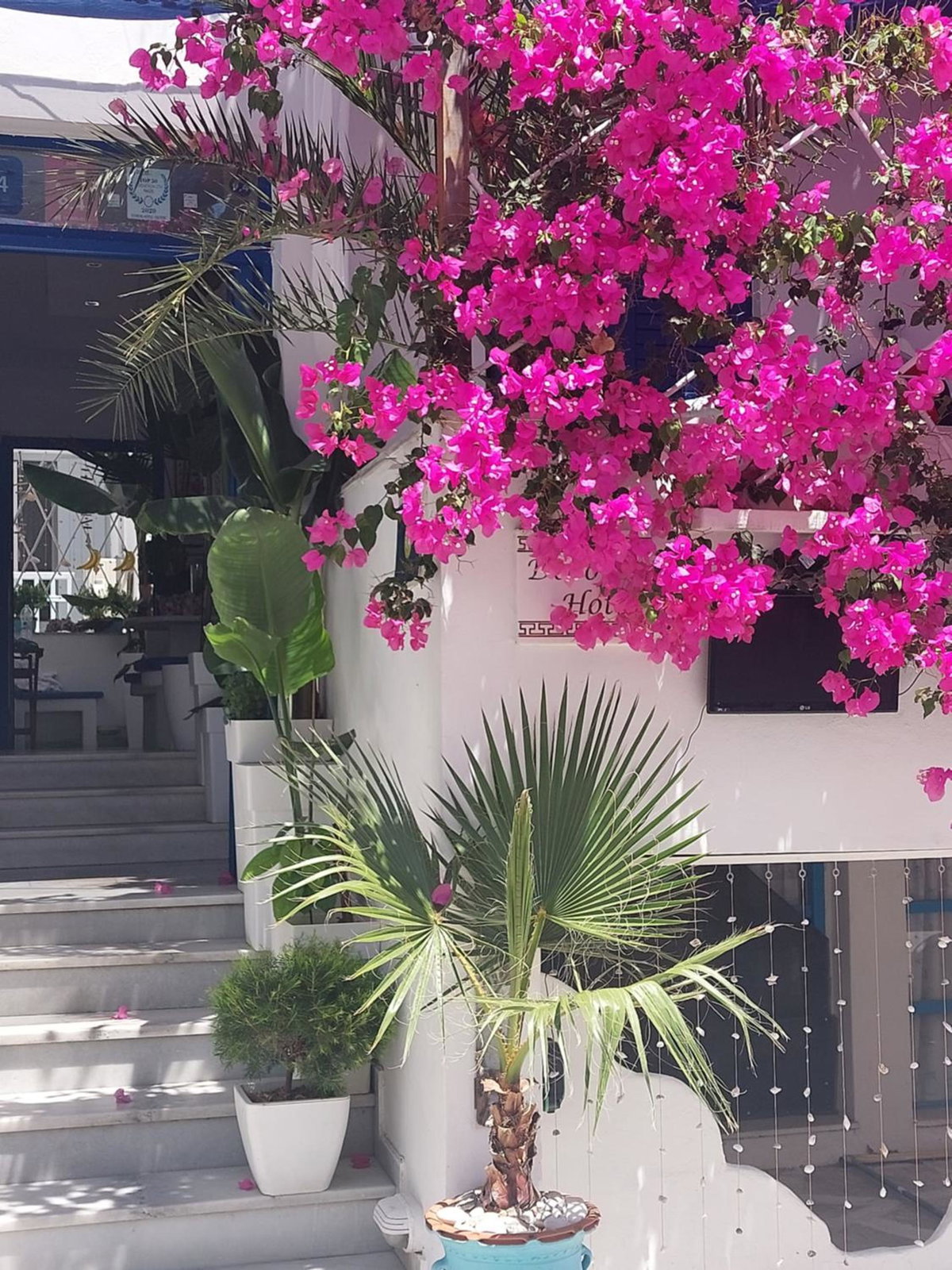 Doron Hotel Delfini, Greece