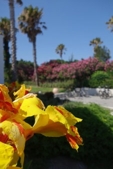 Andromeda Hotel Apartments, Kos Town, Greece