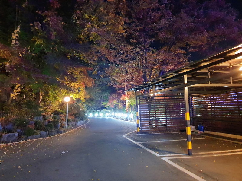 Garden Hotel, Pocheon, South Korea