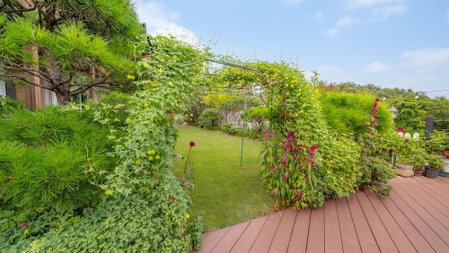 Gapyeong Art Pension, Gapyeong, South Korea