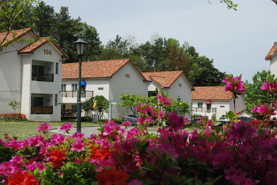 Meta Pension, DamYang, Damyang, South Korea