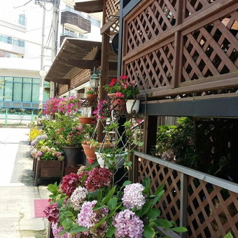 Roma Pension Boryeong, Boryeong, South Korea