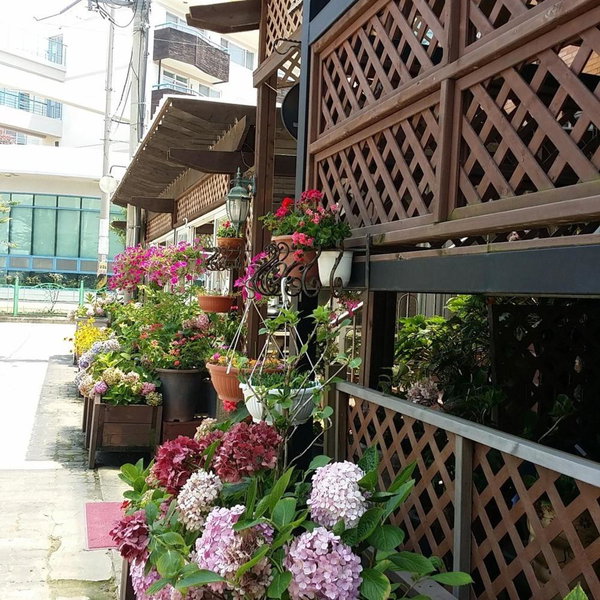 Roma Pension Boryeong, Boryeong, South Korea