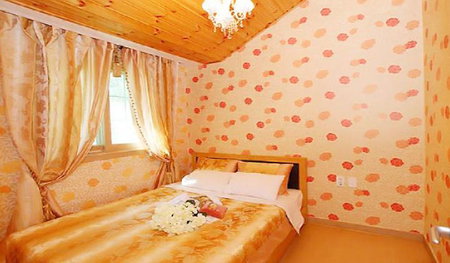 Shinevalley Pension & Hotel, Pyeongchang, South Korea