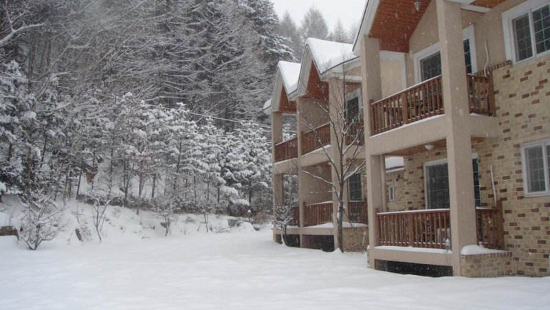 Shinevalley Pension & Hotel, Pyeongchang, South Korea