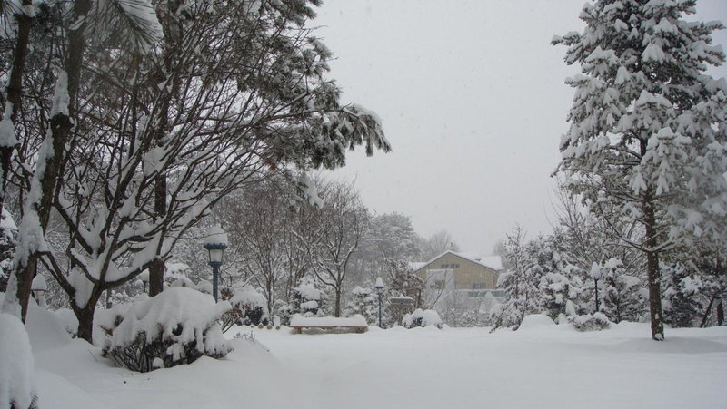 Shinevalley Pension & Hotel, Pyeongchang, South Korea