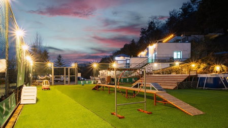 Chuncheon Dogandstay, Chuncheon, South Korea
