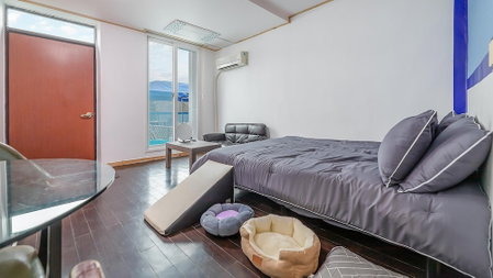 Chuncheon Dogandstay, Chuncheon, South Korea