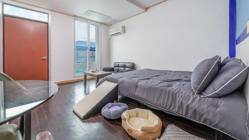 Chuncheon Dogandstay, Chuncheon, South Korea