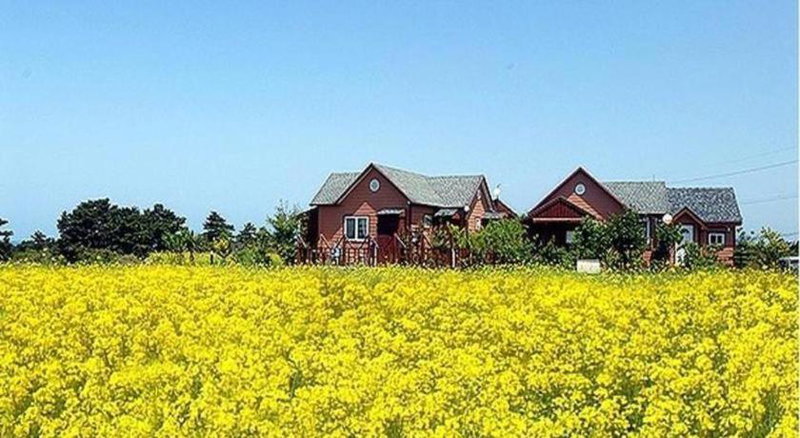 Ebbnsae Pension, Jeju, South Korea