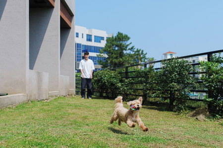 Frame Pension, Jeju City, South Korea