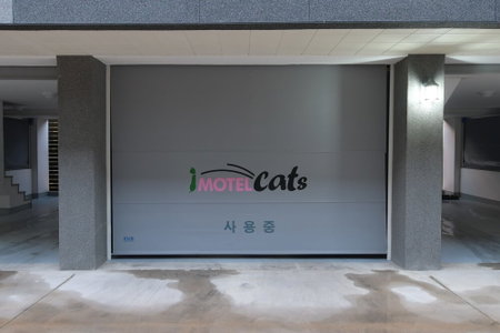 Cats Hotel, Changnyeong, South Korea