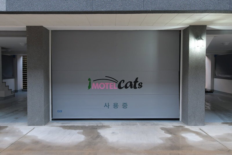 Cats Hotel, Changnyeong, South Korea