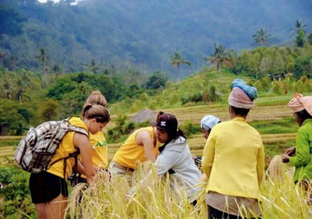 OMantra Home Bali, Singaraja, Indonesia