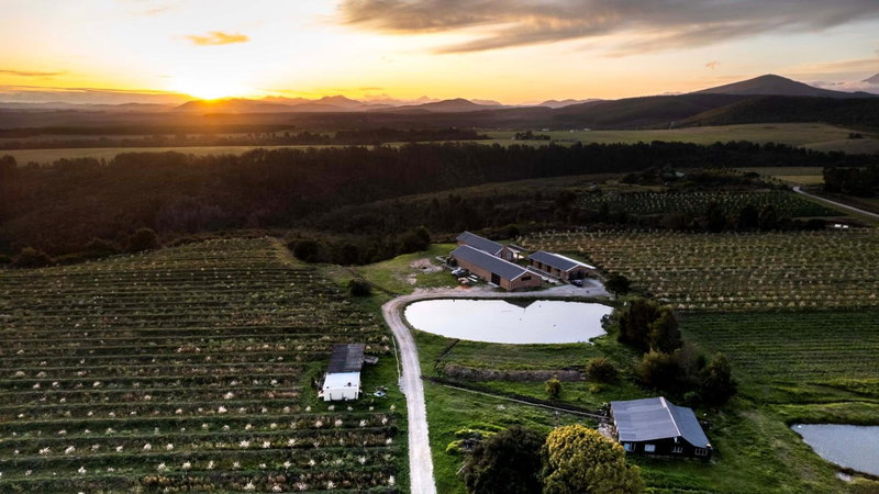 20 Good Summers Farm Stay, The Crags, South Africa