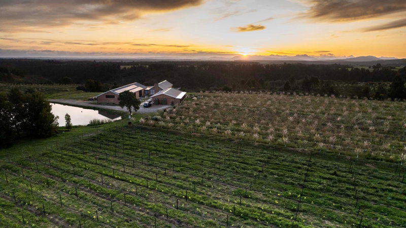20 Good Summers Farm Stay, The Crags, South Africa
