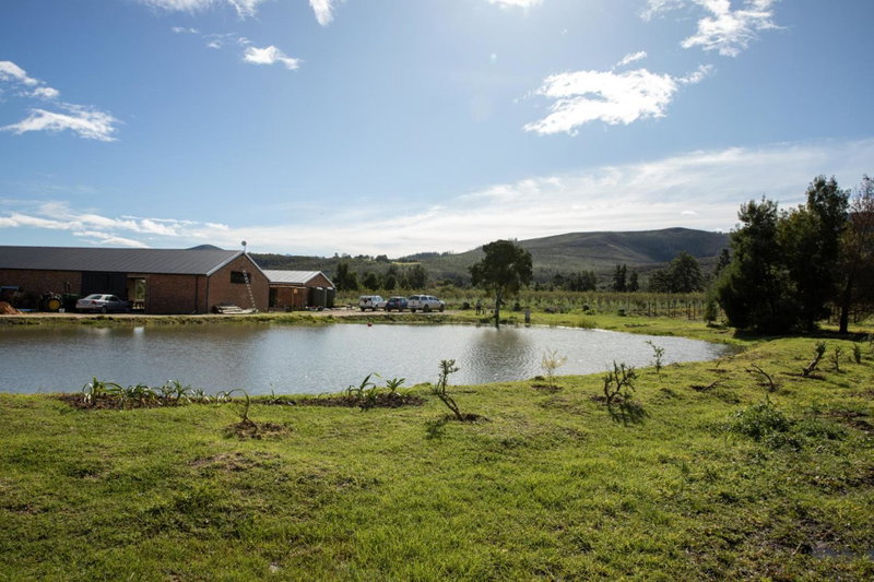 20 Good Summers Farm Stay, The Crags, South Africa