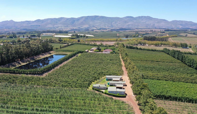 Moortop Cottages, Elgin, South Africa