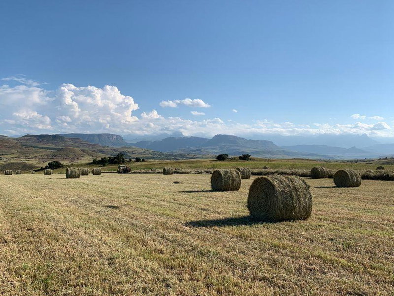 Kezlyn Farm Cottages, Bergville, South Africa