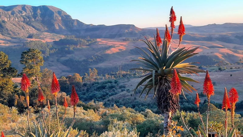 Highbourne Cottages, Winterton, South Africa