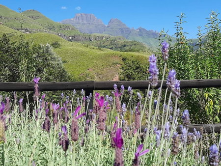 Highbourne Cottages, Winterton, South Africa