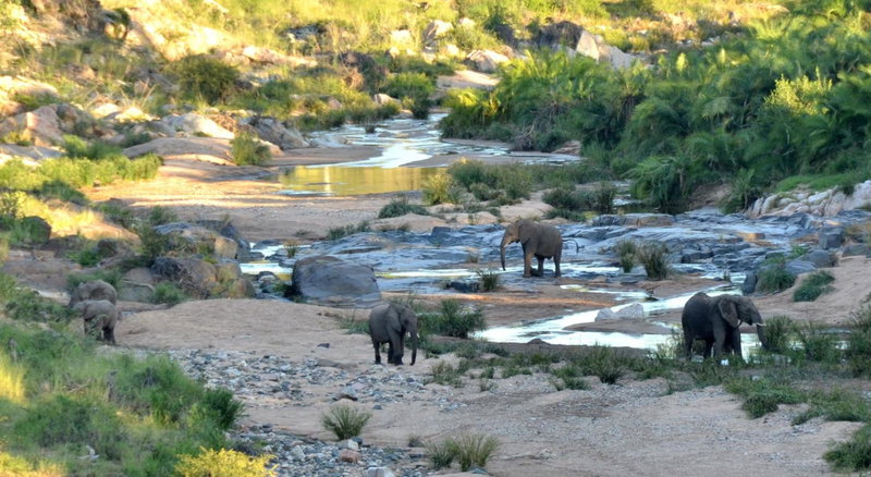 Greenfire Game Lodge, Balule Game Reserve, South Africa