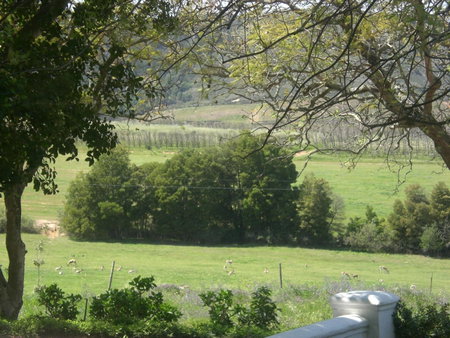 Winelands guest room, Stellenbosch, South Africa