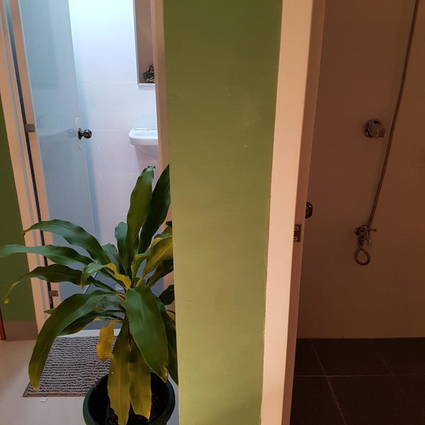 Green Turtle Backpackers Guesthouse, Puerto Princesa, Puerto Princesa City, Philippines