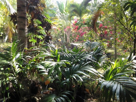 Casa de la Playa Beach Resort, Siquijor, Philippines