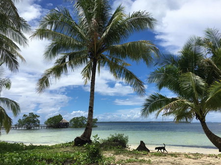 Secret Spot Siargao, General Luna, Philippines