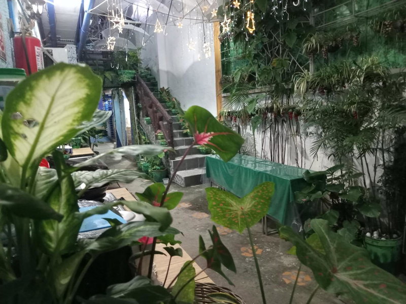 Daniela's Place, Angeles, Philippines