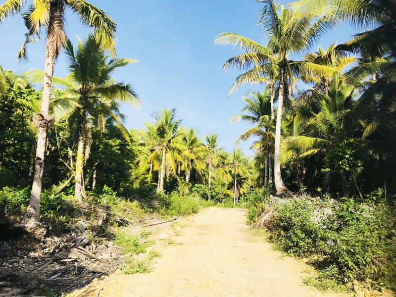 ShareGao, General Luna, Philippines