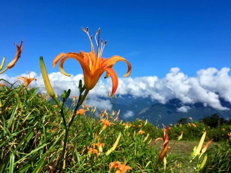 Mountain Lodge, Taimali, Taiwan