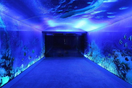 Clownfish Resort, Hengchun, Taiwan