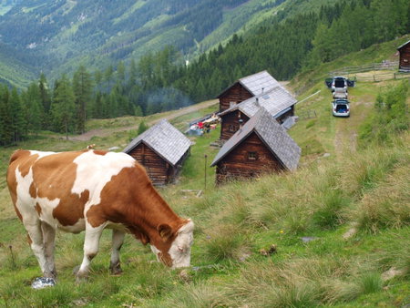 Schirfhof, Michaelerberg, Austria