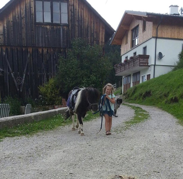 Schirfhof, Michaelerberg, Austria