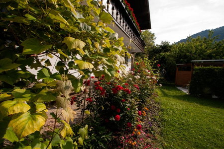 Apartmenthaus Juen, Zams, Austria