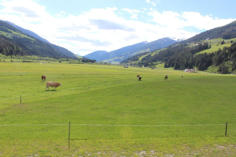 Hofgartnerhof, Strassen, Austria