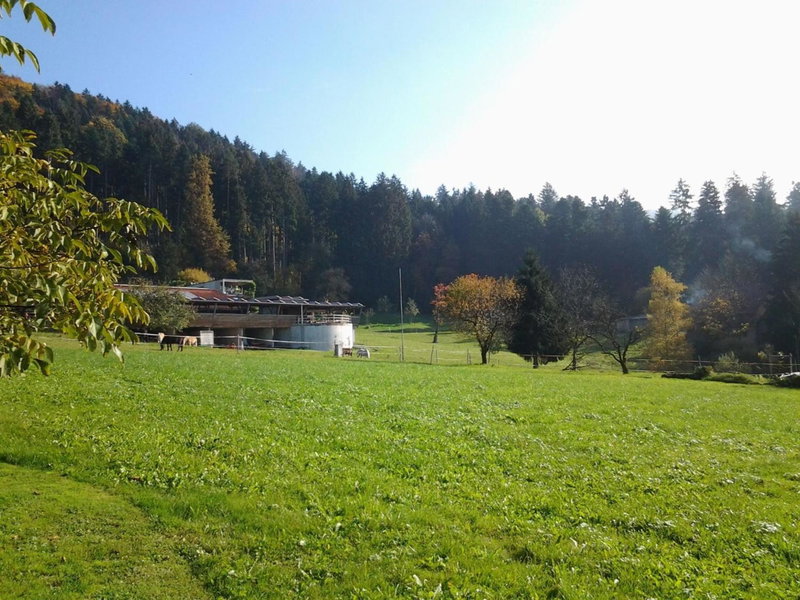 Ferienhaus Sandra mit Balkon -Nähe Bodensee&Pfänder, Hörbranz, Austria