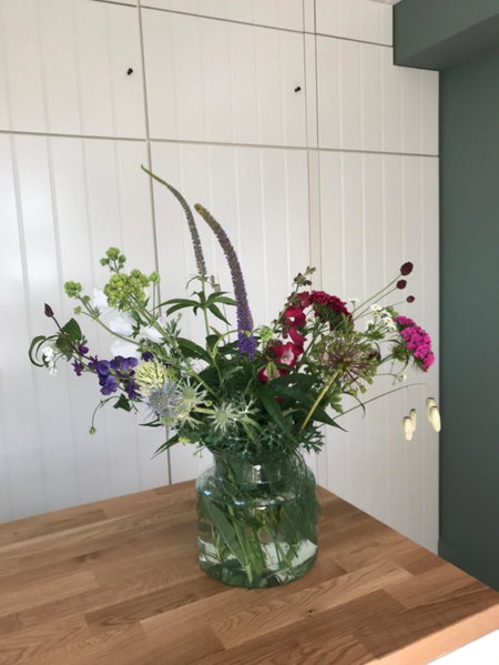 B&B Trefkerk, Appelscha, The Netherlands