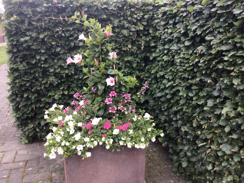 B&B De Veluwe Hoeve, Eerbeek, The Netherlands