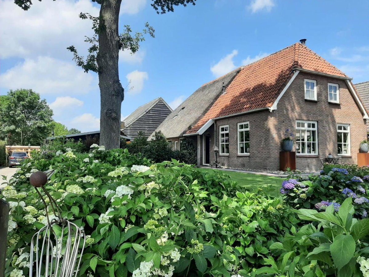 Hotel · Bed en Breakfast Gees, Gees