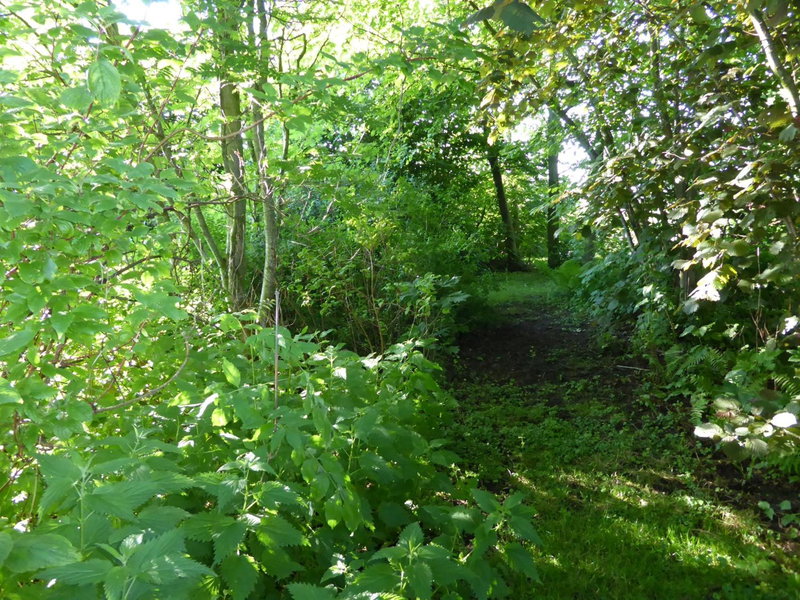 Logeren bij de Ruimte, Nijeholtpade, The Netherlands