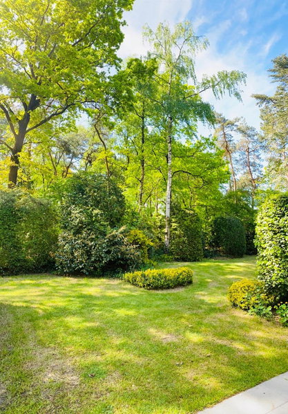 Bosvakantie Veluwe - Huisje 54, Hoefbos, Otterlo, Otterlo, The Netherlands