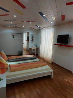 Hotel Pamakin, Wynau, Switzerland
